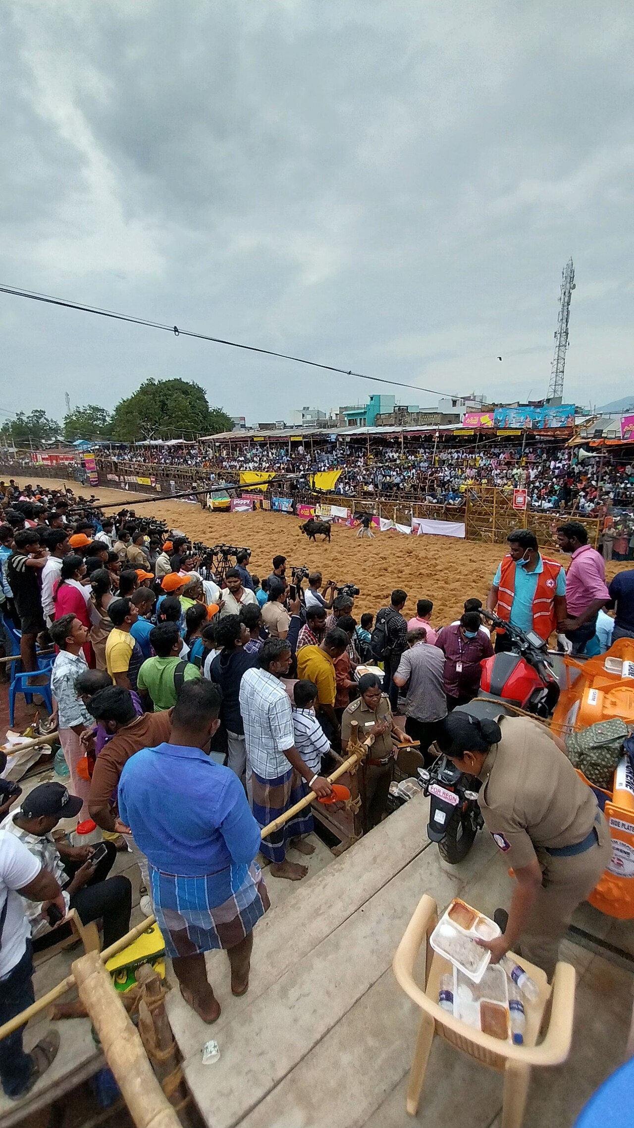 Bull tamer in action at a Jallikattu arena